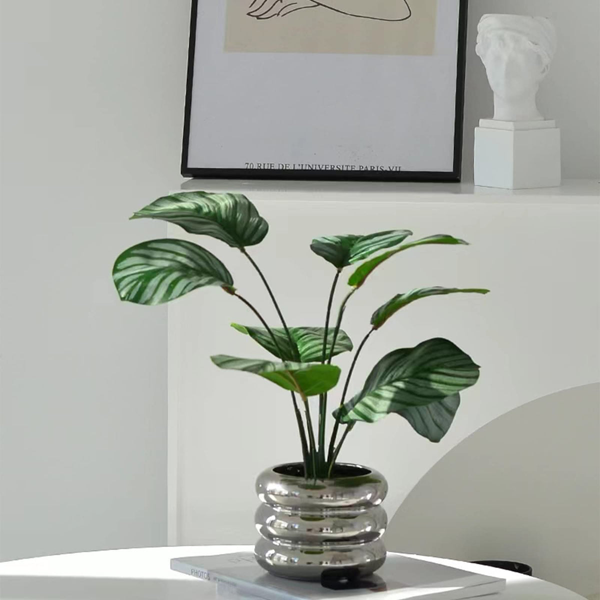 Compact SANDYBAYTAS pot housing a small succulent for indoor use