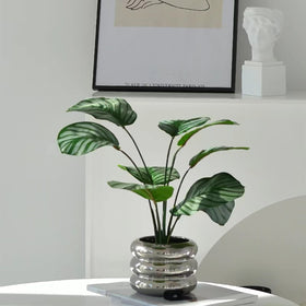 Compact SANDYBAYTAS pot housing a small succulent for indoor use