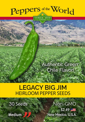 Sandia Seed Big Jim Legacy peppers on the plant, perfect for roasting and enchiladas