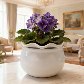 Sanmudecor desk/tabletop indoor plant pot for bright workspaces.