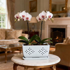 Sanmudecor modern indoor planter enhances home or office decor.