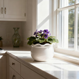 Sanmudecor ruffled-edge white planter with scalloped rim enhances decor.