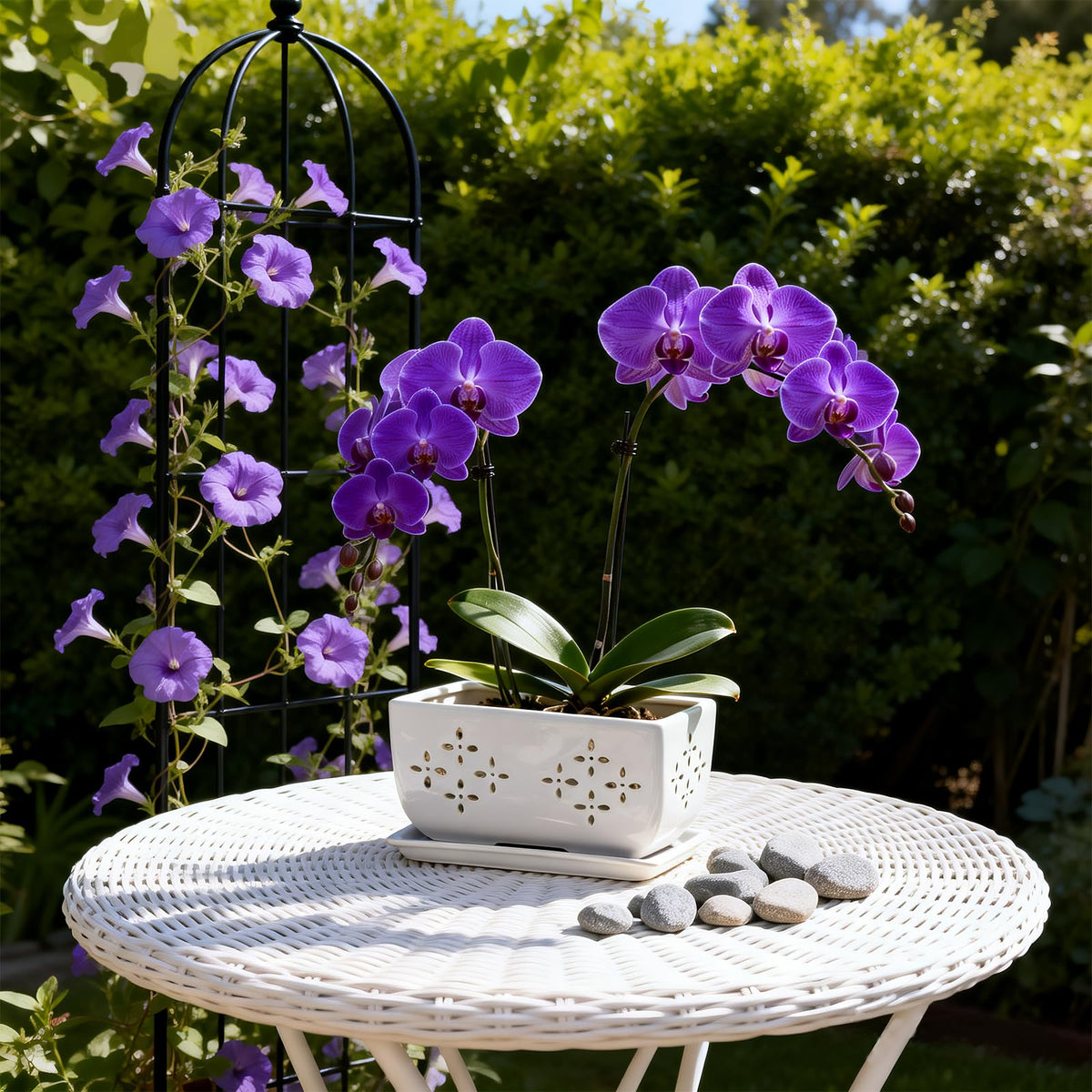 Sanmudecor white pot suits succulents, herbs, and flowering plants.