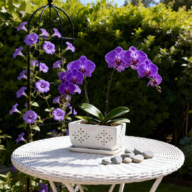 Sanmudecor white pot suits succulents, herbs, and flowering plants.