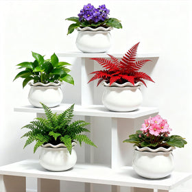 Sanmudecor windowsill display planter adds a compact indoor accent.