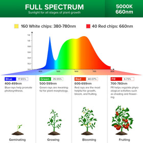 SANSI ceramic technology enhances efficiency and extends bulb life