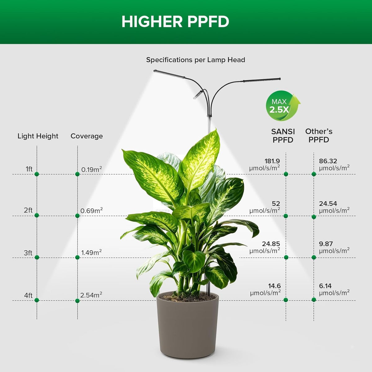 SANSI full spectrum with high PPFD supports dense foliage and vibrant leaves.