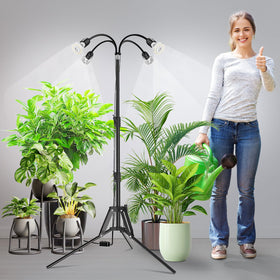 SANSI full-spectrum light supports a variety of indoor plants.