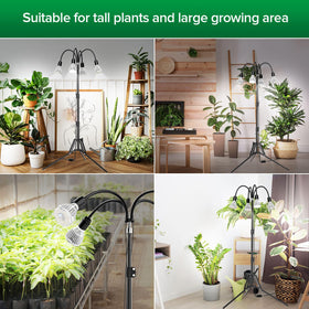 SANSI ideal for monstera, basil, orchids, and other houseplants.
