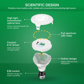 SANSI LED grow light bulb illuminating indoor greens for healthy foliage.