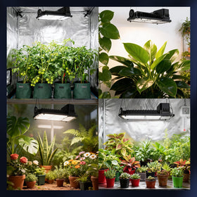 SANSI versatile light supports tomatoes, herbs, and tropical houseplants.