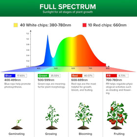 SANSI 5000K daylight output ideal for year-round indoor gardening.