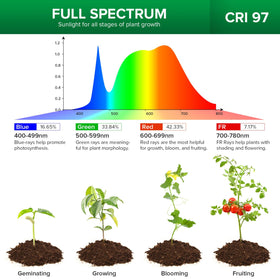 SANSI puck grow light on an indoor garden setup for herbs and succulents.