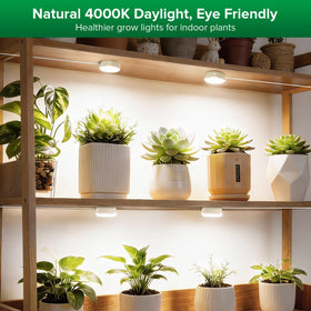SANSI puck grow light timer function enables automated daily cycle.