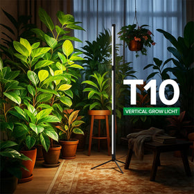 Sturdy triangular base of the SANSI T10 providing stable placement