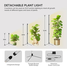 Vertical stand of the SANSI T10 with plant setup and stability