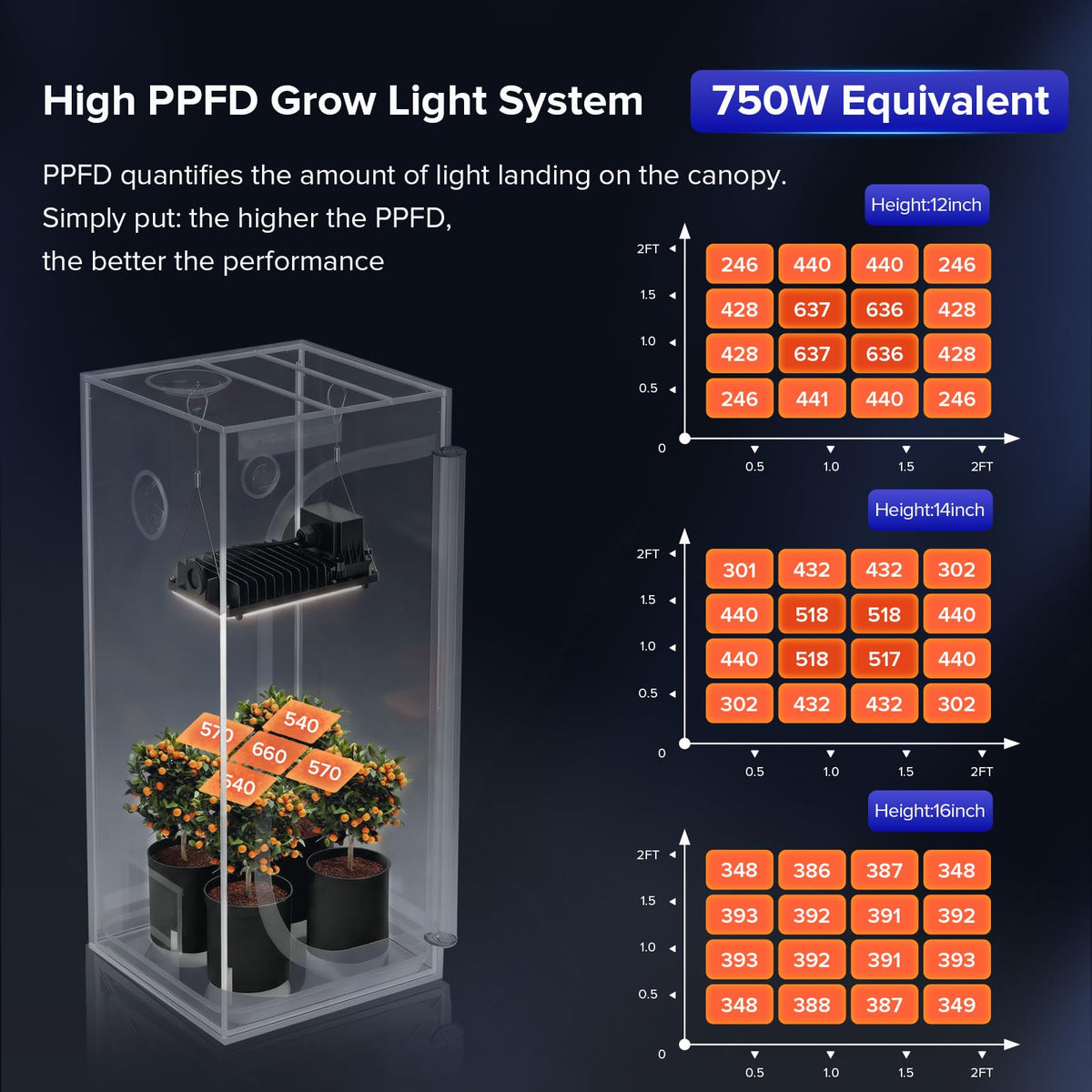 SANSI timer mode helps maintain consistent light cycles for seedlings.