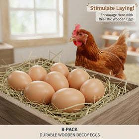 Santtbloom wooden egg in nest demonstrates proper laying spots for a tidy coop.