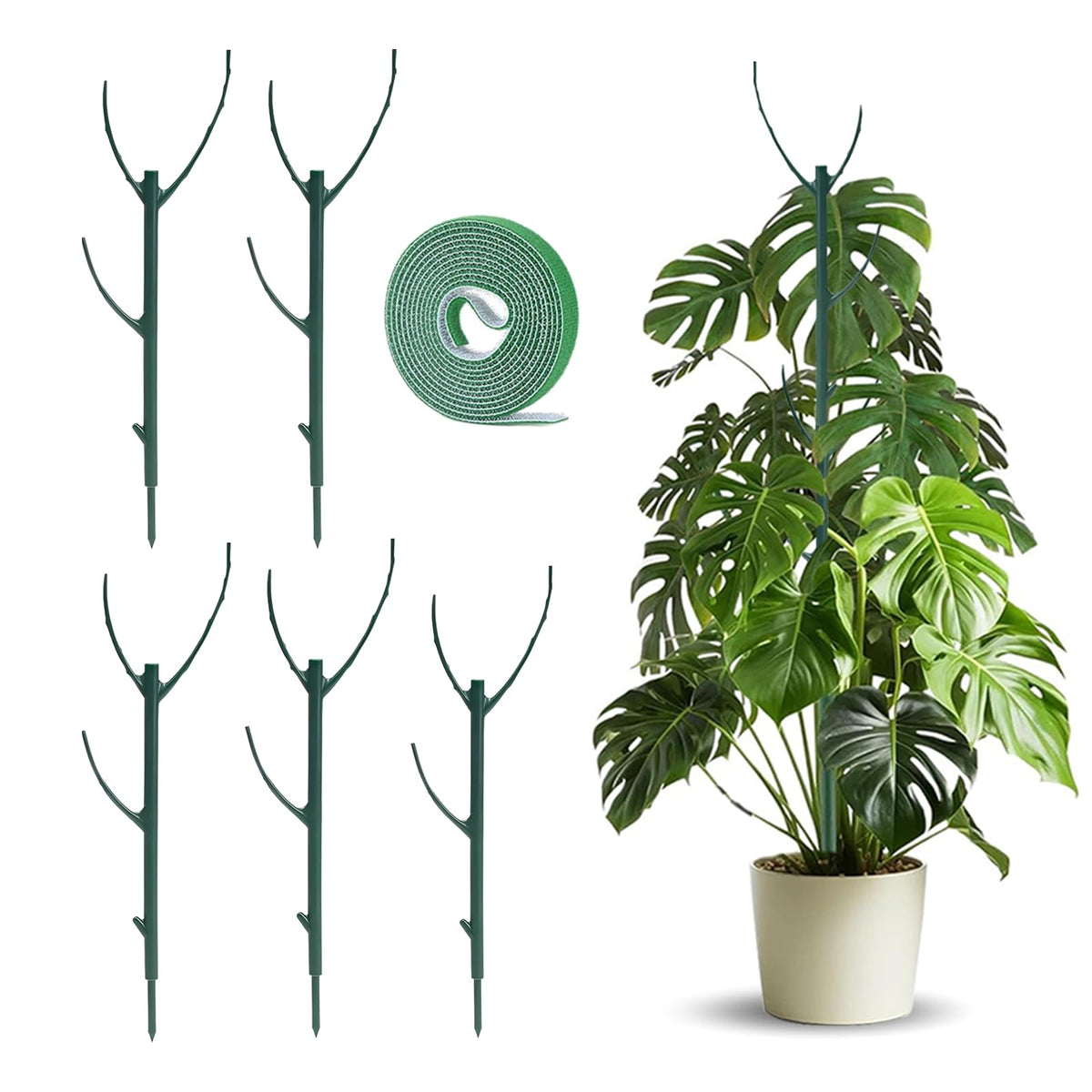 sanzkjic 5-pack adjustable plant stake ready for indoor or outdoor use