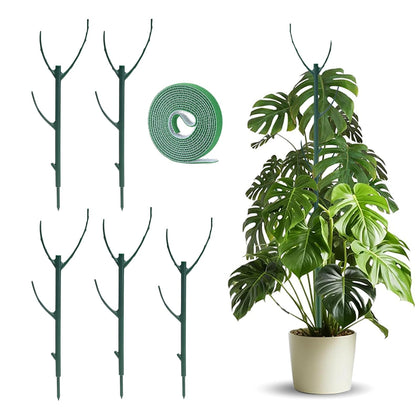 sanzkjic 5-pack adjustable plant stake ready for indoor or outdoor use
