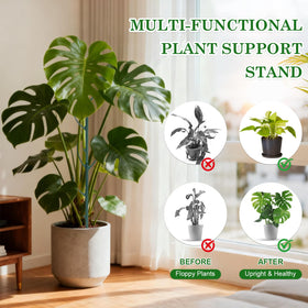 sanzkjic smooth-green surface makes orchids look natural with support