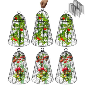 Sapbontchi garden cloche extra large set of six protecting seedlings while letting sunlight