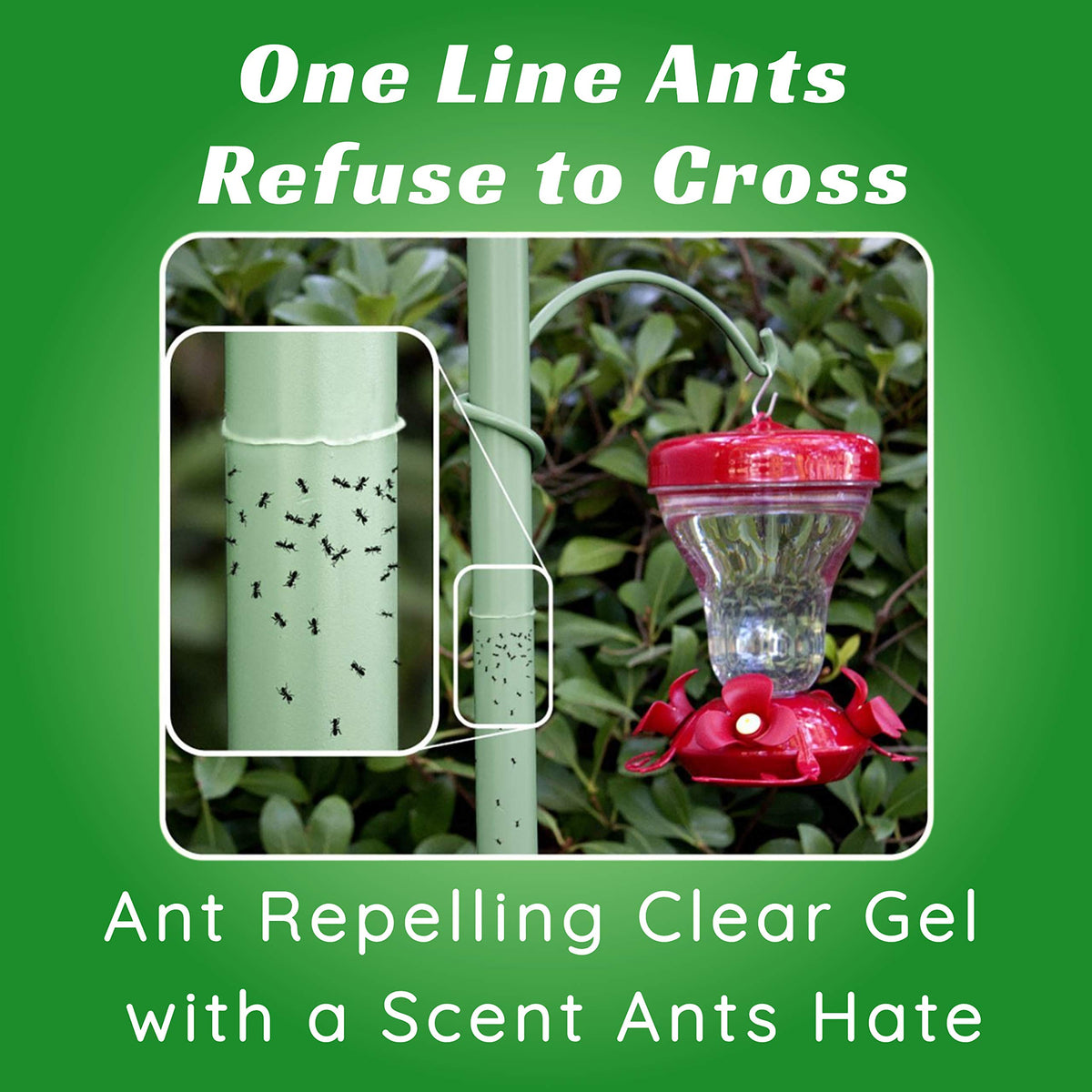 Sapphire Labs barrier line application showing quick setup to block ant trails