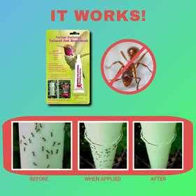 Sapphire Labs multi-purpose ant guard for outdoor use around garden features