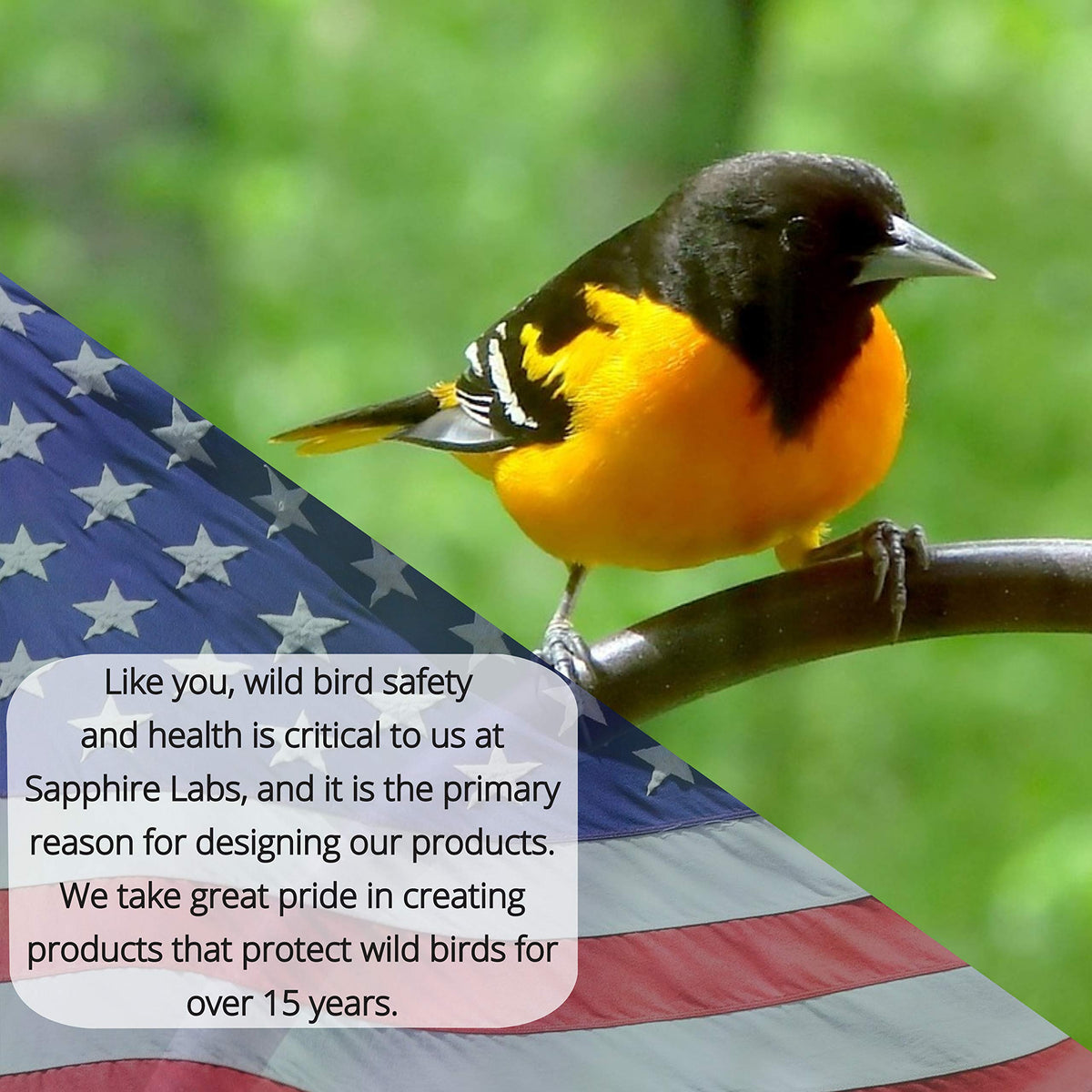 Sapphire Labs protects bird houses and beehives from ants