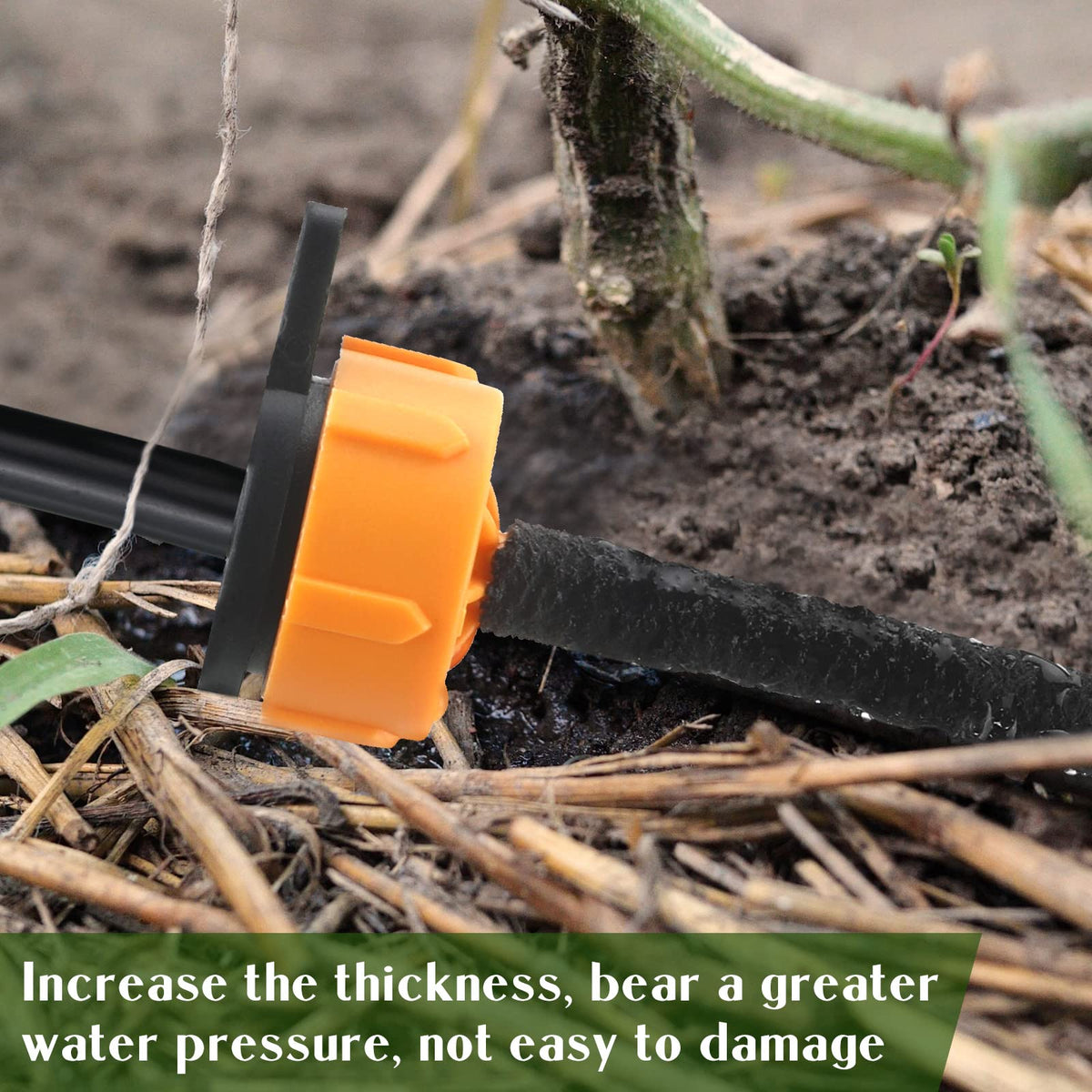 Sasylvia garden kit shown in outdoor setup for vegetables and blooms.
