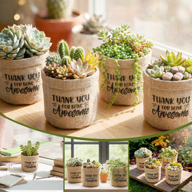 SATINIOR compact wrap bag fits desktop succulents neatly