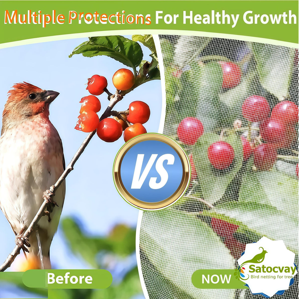 SATOCVAY UV-resistant polyethylene mesh withstands outdoor seasons