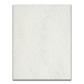 Savio standard skimmer filter mat front view, replacement pad for efficient mechanical filtration.