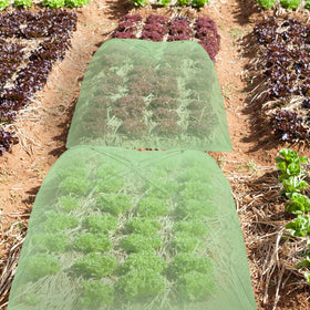 Sawysine protect crops including vegetables and strawberries with mesh shielding