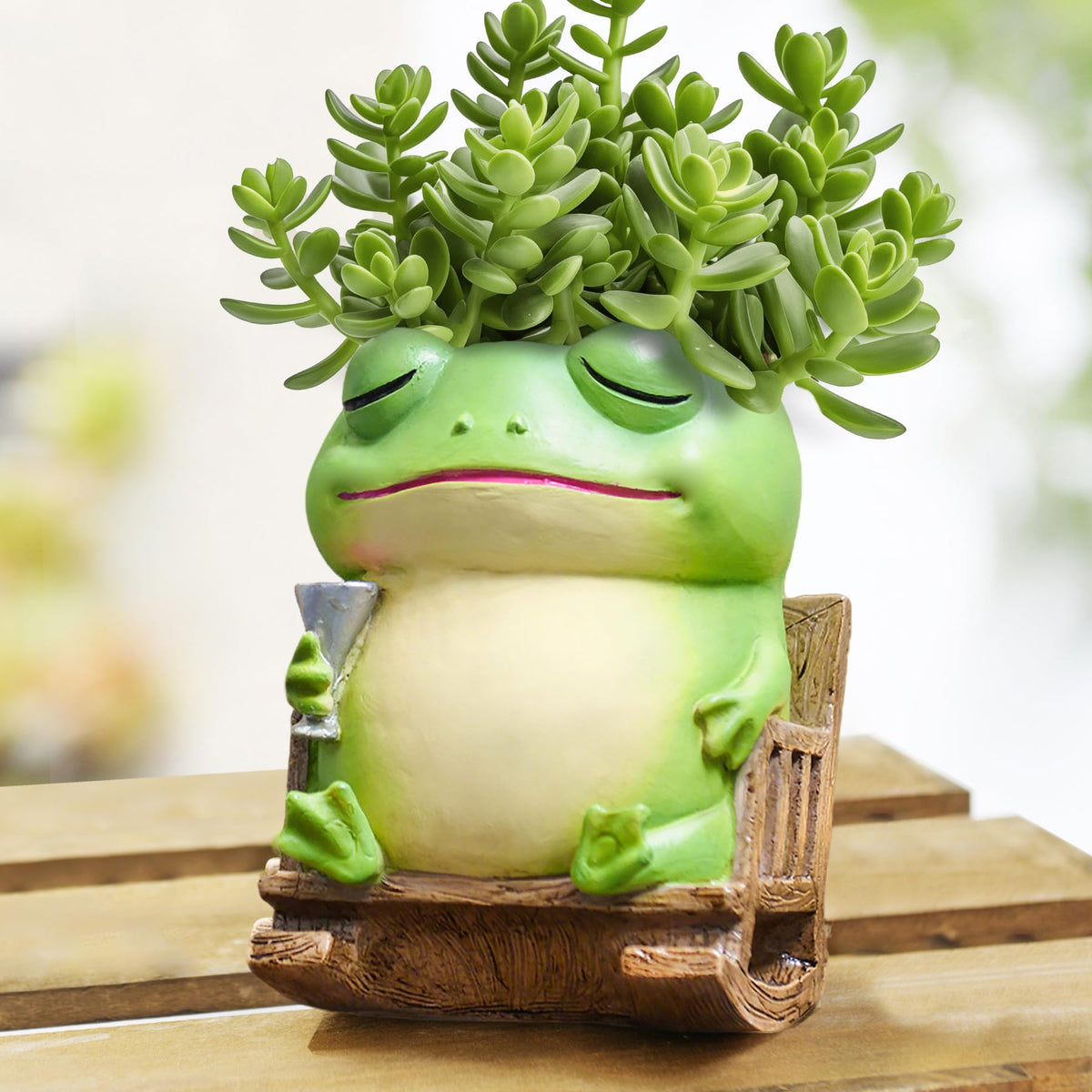 Saysmile frog pot with rocking chair close-up for cozy spaces