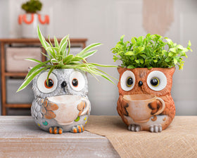 Saysmile owl planter suited for gift ideas and versatile home decor.