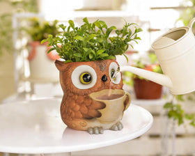Saysmile indoor-outdoor owl planter suits succulents herbs or faux plants beautifully.