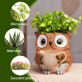 Saysmile owl pot with drainage hole helps prevent overwatering and root issues.