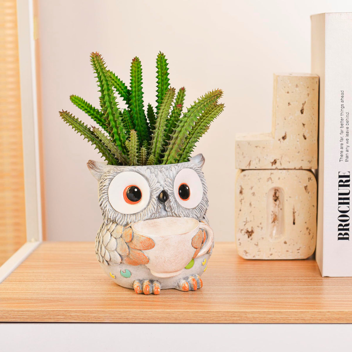 Saysmile Owl Pot gift-idea for plant lovers and thoughtful hosts