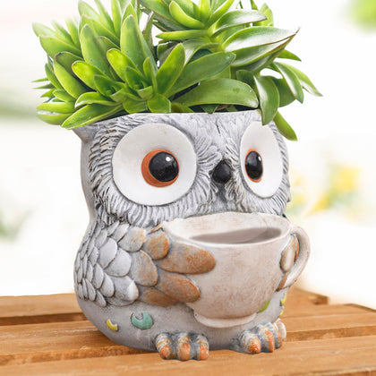 Saysmile Owl Pot with watering cup enhances desk or shelf decor