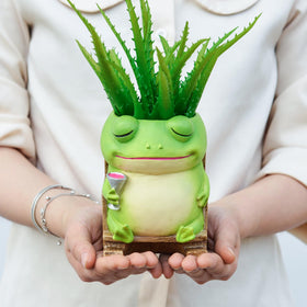 Saysmile string of pearls pot for tabletop or hanging display
