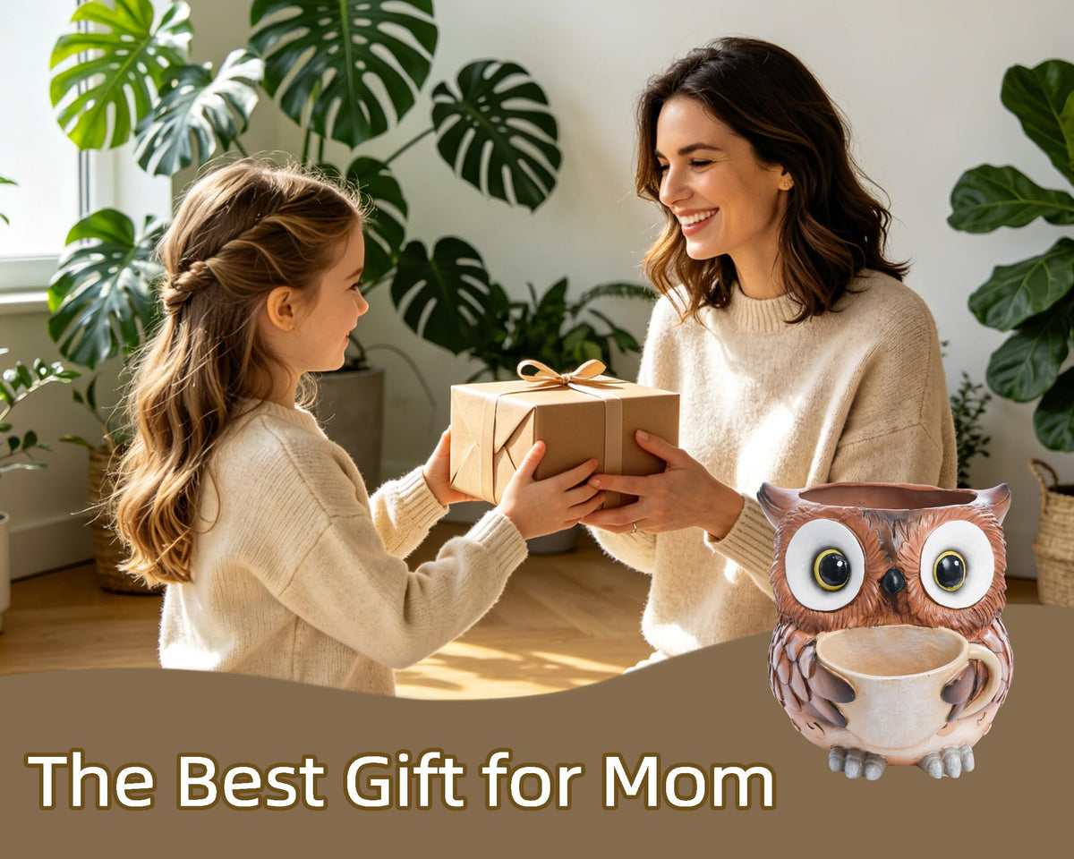 Saysmile owl pot makes a thoughtful gift for plant lovers and home interiors.