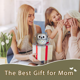 Saysmile Swing Owl Planter on window sill adds sunny décor.