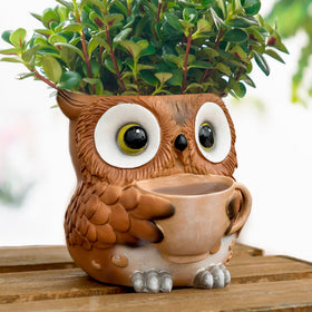 Saysmile unique owl pot with watering cup adds cozy desk decor and daily care reminder.
