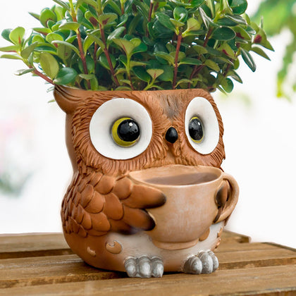 Saysmile unique owl pot with watering cup adds cozy desk decor and daily care reminder.