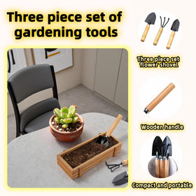 Sayuanva window-sill garden setup with compact mini tools.