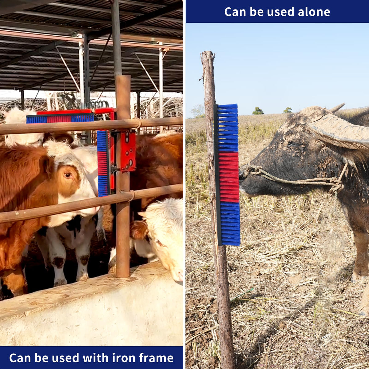 Sayutie livestock scratch brush blue 2pcs durable plastic body highlights long-lasting build