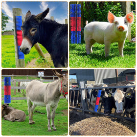 Sayutie livestock scratch brush blue 2pcs in-use grooming a livestock animal with massage-like contact