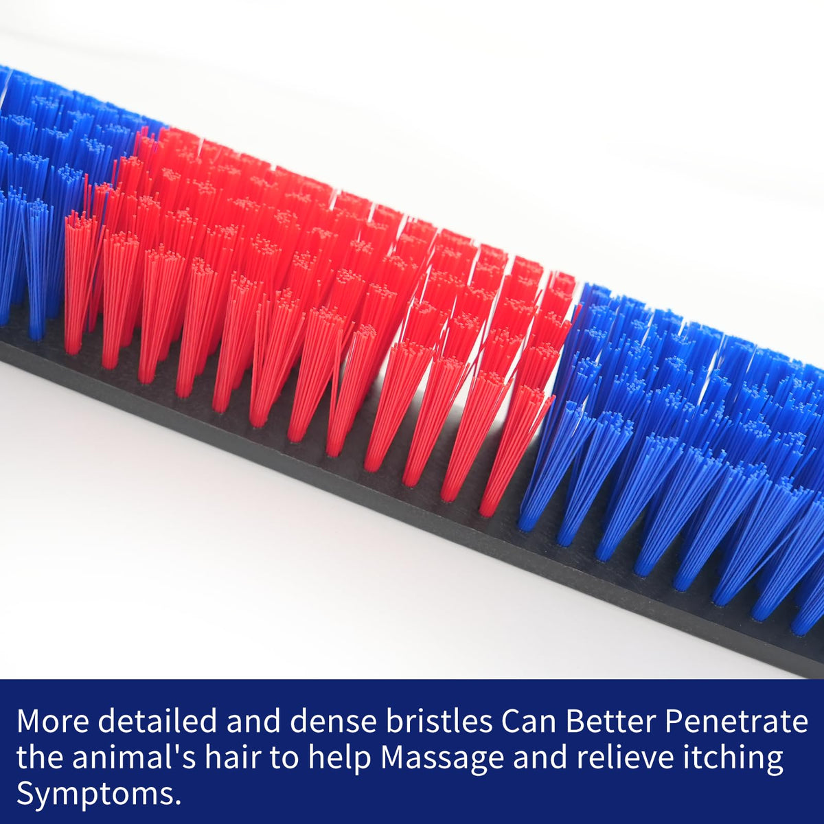 Sayutie livestock scratch brush blue 2pcs installation-ready demonstrates screw mounting option