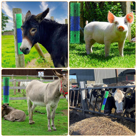 Sayutie Livestock Scratch Brush in use on cattle and horses in field